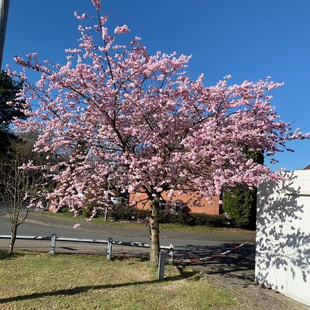 Holiday In Der Lueneburger Heide 비스핑엔 외부 사진