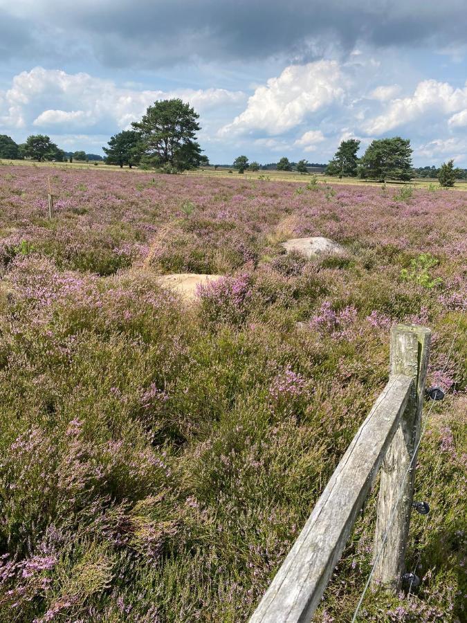 Holiday In Der Lueneburger Heide 비스핑엔 외부 사진