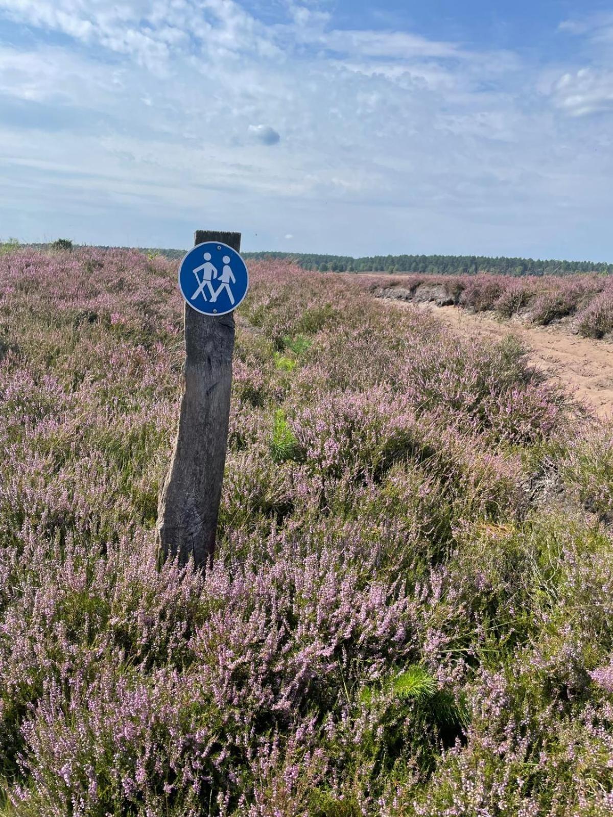 Holiday In Der Lueneburger Heide 비스핑엔 외부 사진
